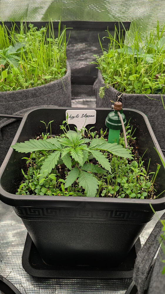 Growreport Bild 13