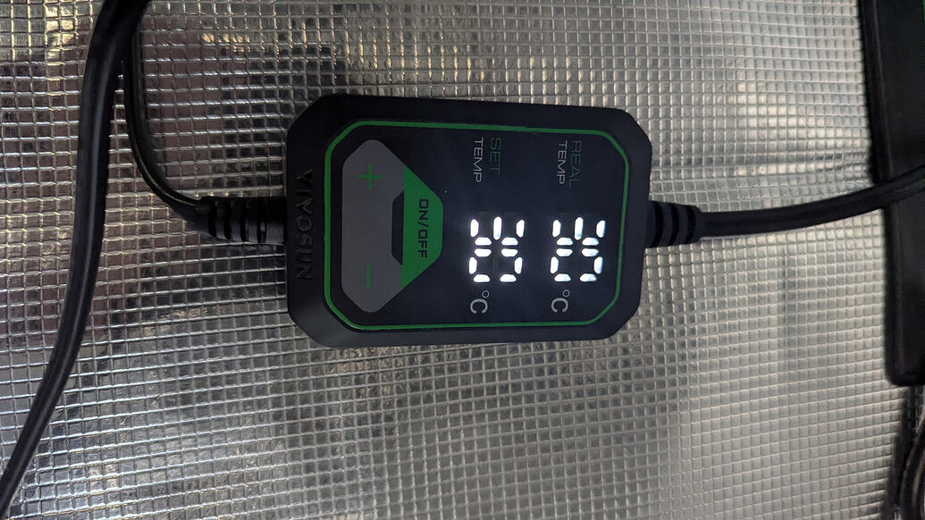 Ein Vivosun Thermostat-Controller mit digitaler Anzeige, die 30°C für die eingestellte Temperatur und 25°C für die reale Temperatur anzeigt.