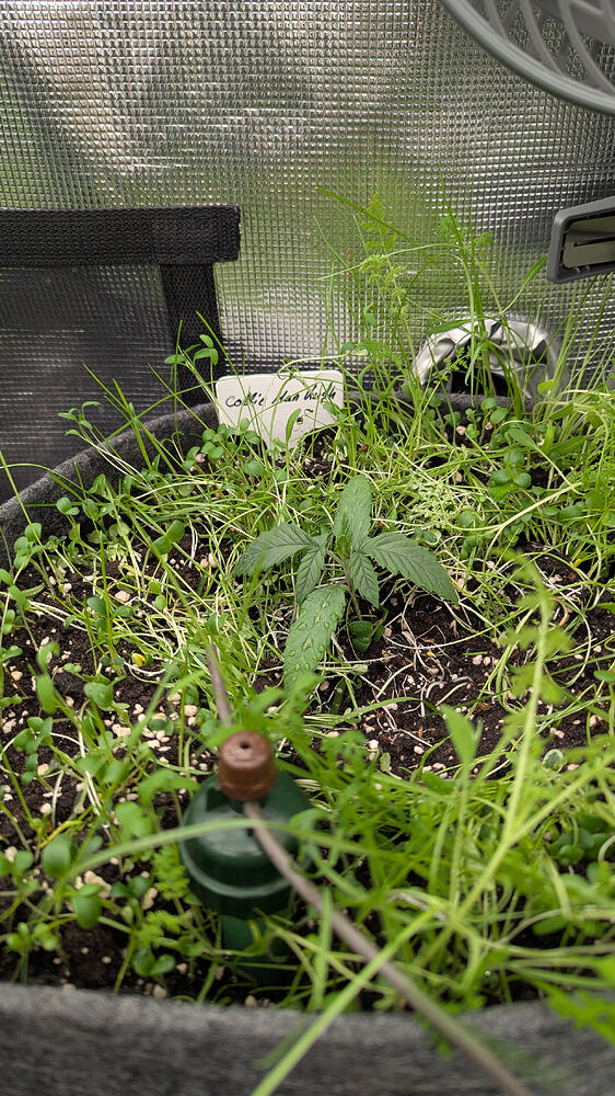 Growreport Bild 8