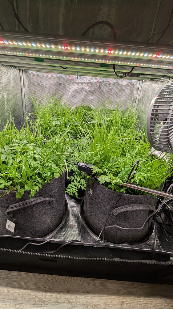 Growreport Bild 3