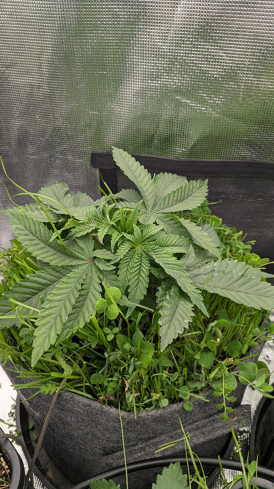 Growreport Bild 11