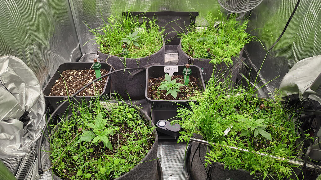 Growreport Bild 10