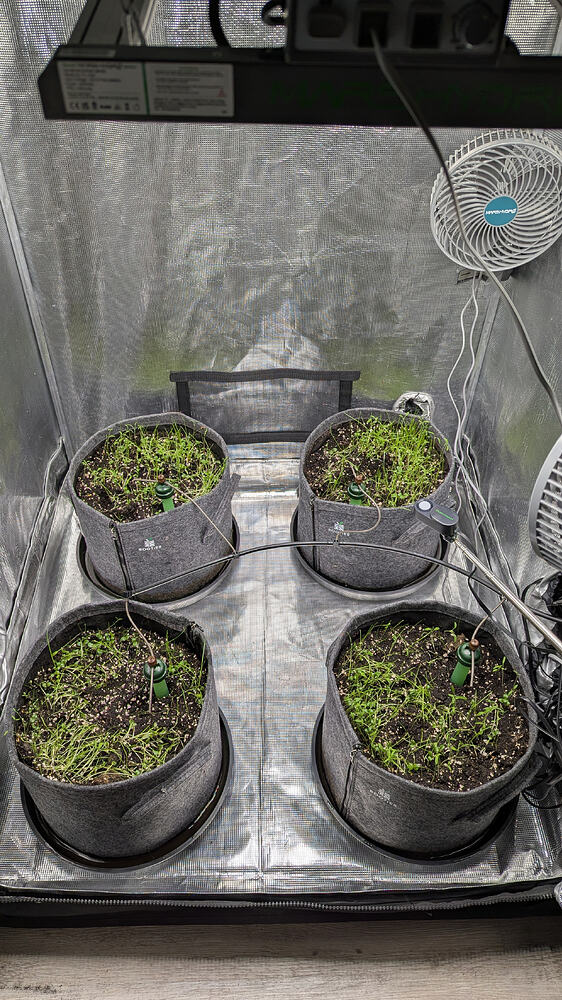 Growreport Bild 1