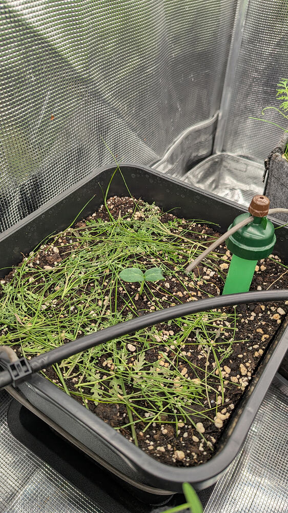 Growreport Bild 14