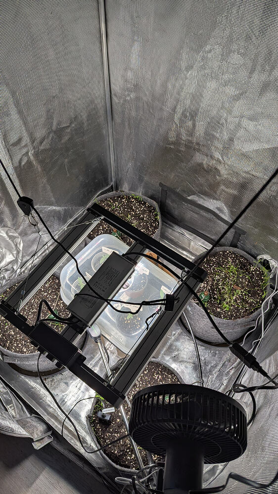 Growreport Bild 2